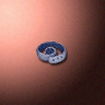 30550_big.png