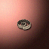 30551_big.png