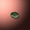 30553_big.png