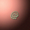 30570_big.png