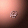 30571_big.png