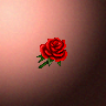 50024_big.png