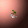50091_big.png