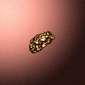 50604_big.png