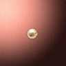 50609_big.png