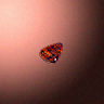 50622_big.png