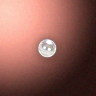 50629_big.png