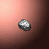 51517_big.png