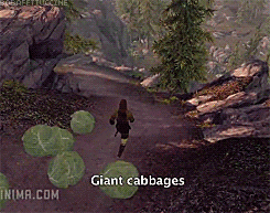 giphy.gif
