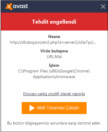 11.png