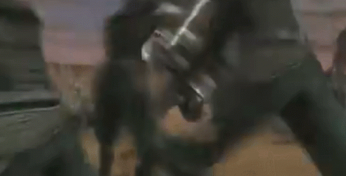 GIF.gif