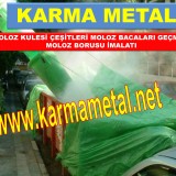 MOLOZKULESIMOLOZBACASIMOLOZATMABORUSUMOLOZATASMANISANTIYEDONANIMLARI62