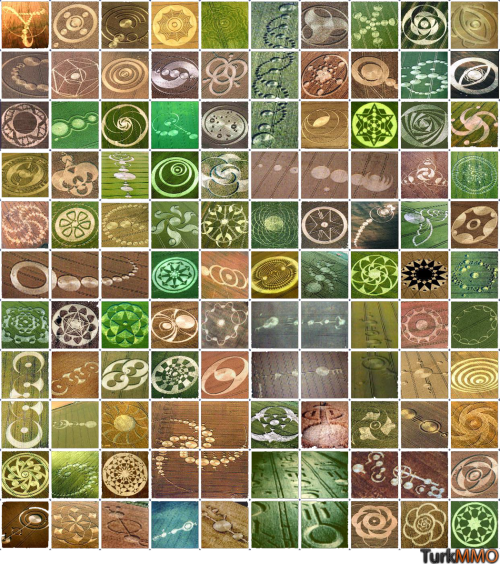 1016c5c.png