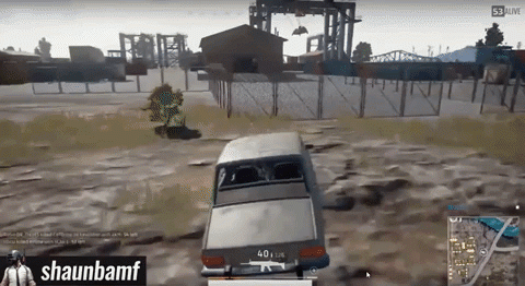 giphy.gif