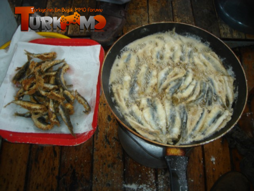 DSC01649-e1323169503554.png