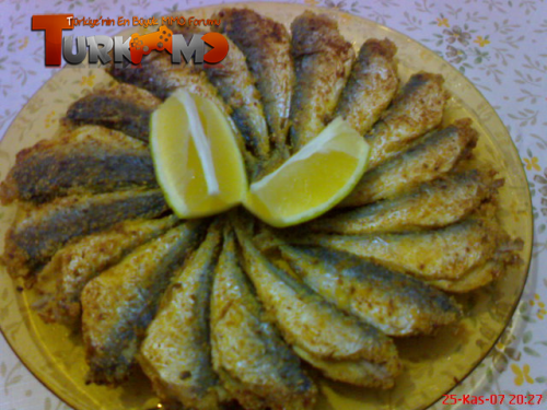 balgibi25_DSC00645.png