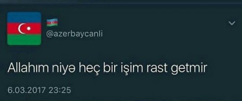 xd.jpg