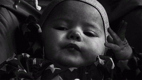 tumblr_n8lst0cYGW1sptdtwo1_500.gif