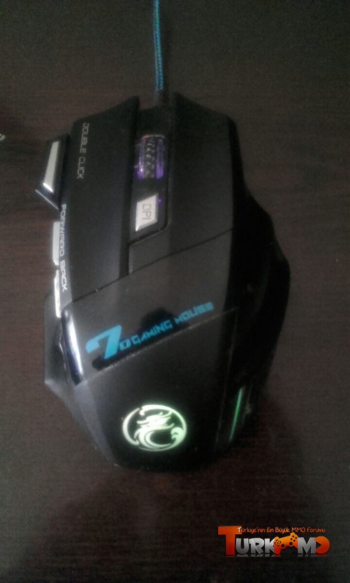 mouse.jpg