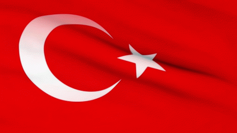 bayrak.gif