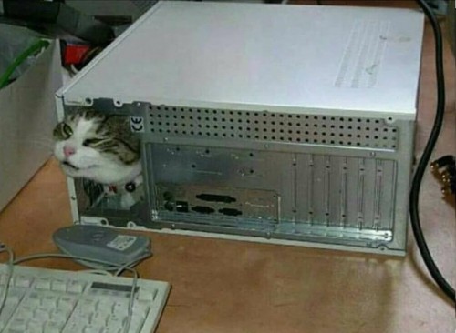 20258479_1468940043143988_5286062088342260881_n.jpg