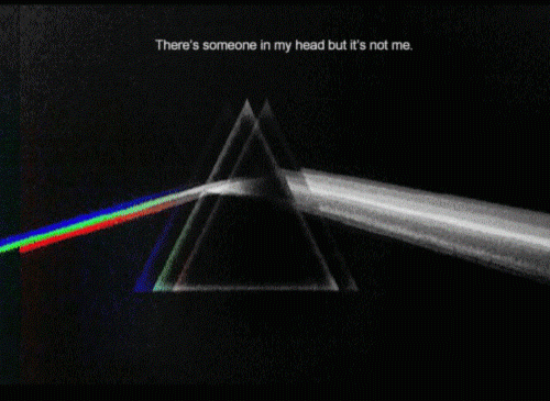 giphy-1.gif