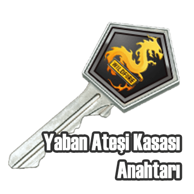 Yaban-Atesi-Operasyonu-Kasasi-Anahtari-crazyalkan.png