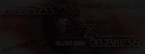 HELLFORCE BANNER EFSO V1