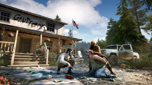 Far Cry 5 6