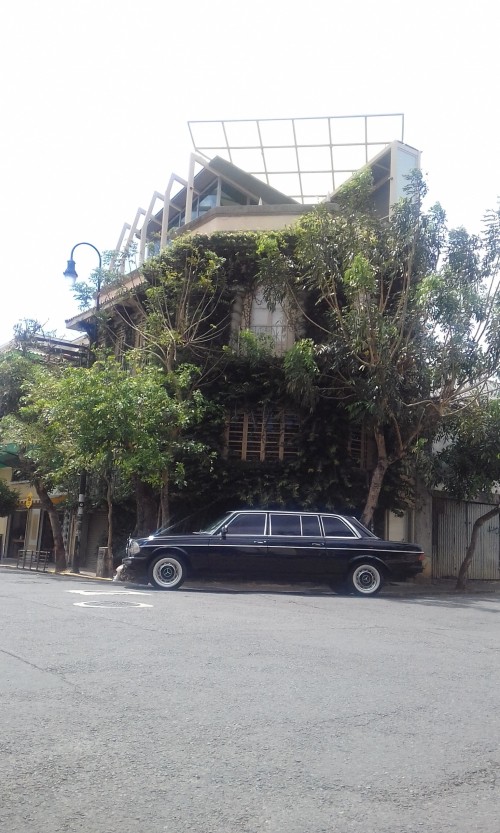 LARGE-GREEN-MANSION-BARRIO-AMON-COSTA-RICA-LIMUSINA.jpg