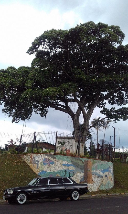 BILINGUAL-SCHOOL.-COSTA-RICA-CLASSIC-MERCEDES-LIMO-CITY-TOURS..jpg