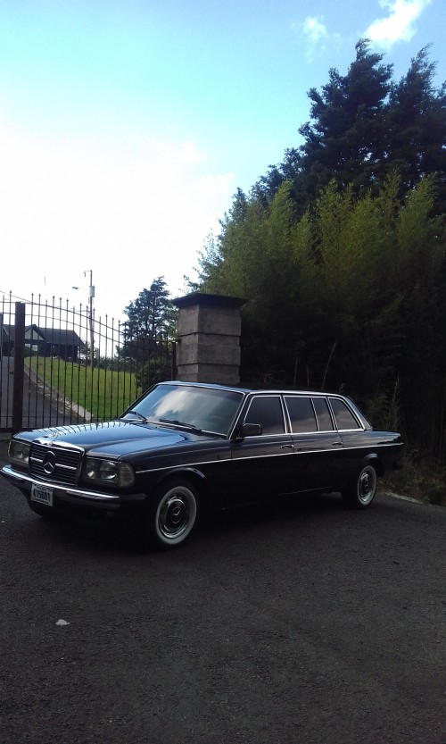 COSTA RICA MANSION DRIVEWAY. MERCEDES 300D LIMOUSINE TOURS.