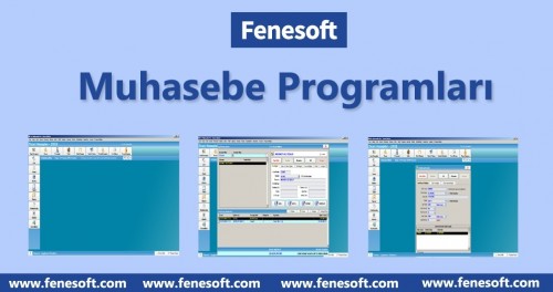muhasebe programlar