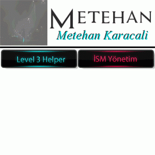 met3.gif