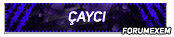 cayci.png
