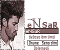 eNSAR