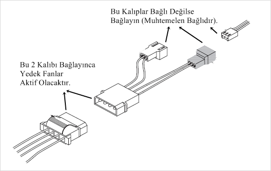 5406333.jpg
