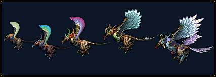 Geier_Vulture.gif