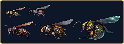 Vespida_Wasp.gif