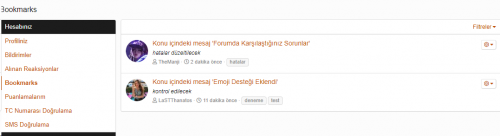 resim20967ec5d1b948b2.png