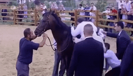 unnamed.gif