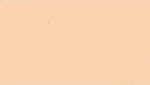 ezgif.com-crop-7.gif