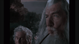 animation.gif