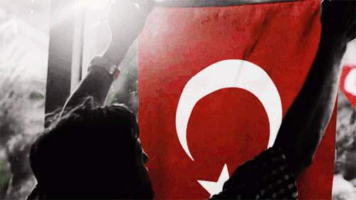 tumblr_ot3s8vtKPB1upy7p2o1_500.gif