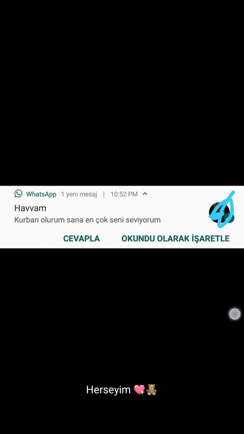 Screenshot_20190516-225406_WhatsApp.jpg