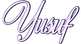 image4.gif