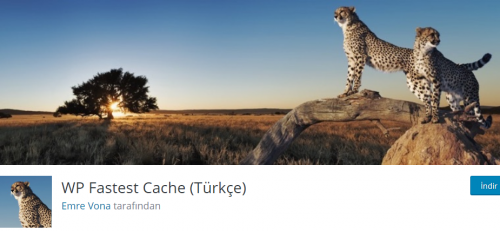 WP-Fastest-Cache.png