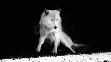 kurt.gif