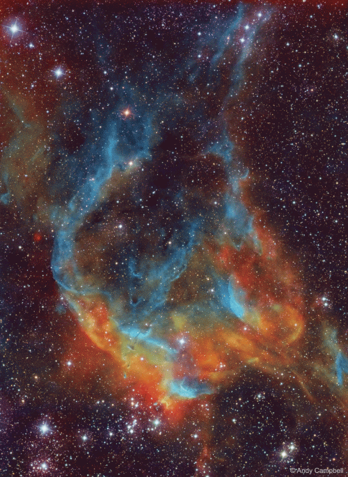 WhatsApp-Image-2019-05-29-at-17.gif