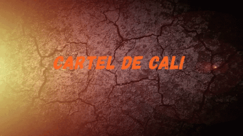 Yeni-proje.gif